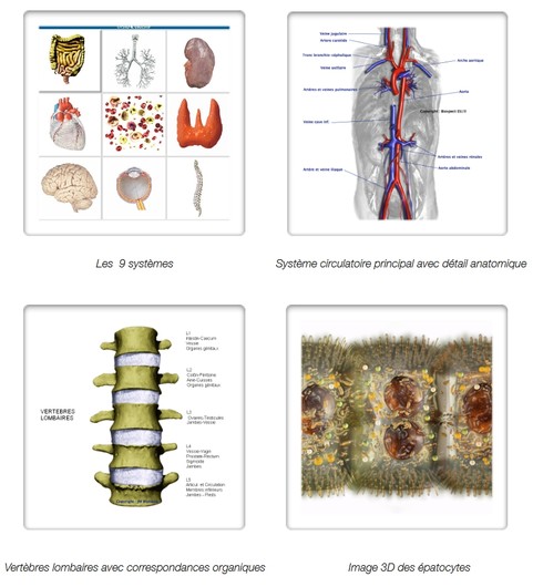 Images-Biospect-1