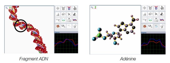 Images-Biospect-2