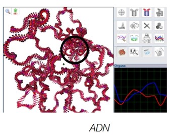 Images-Biospect-3